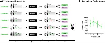 The bottom-up information transfer process and top-down attention control underlying tonal working memory